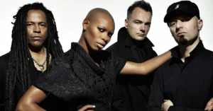 Read more about the article Skunk Anansie